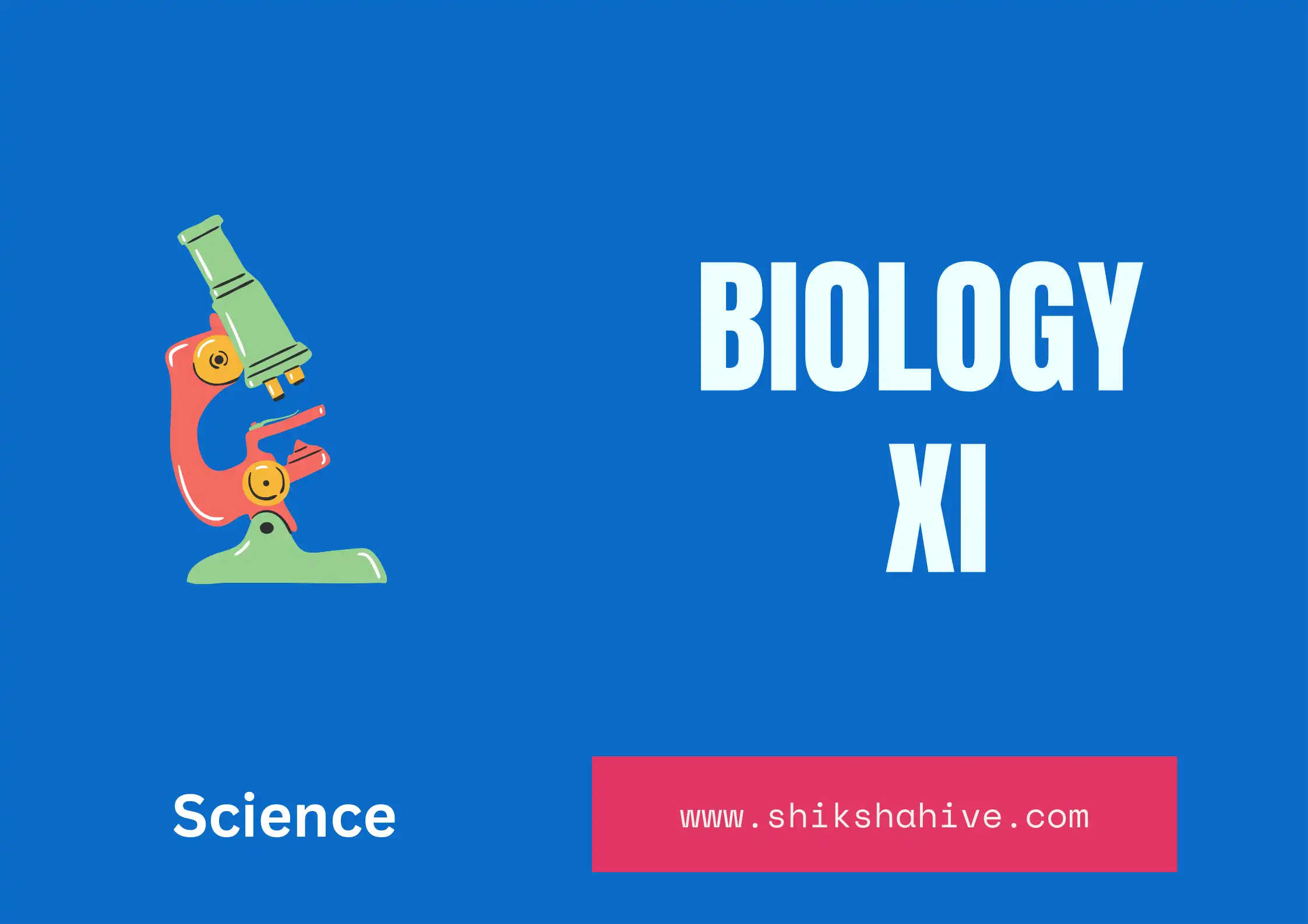 Biology NEB Questions - 11 Science